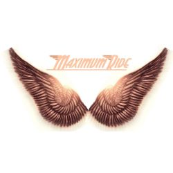 Who are you in Maximum Ride - Quiz | Quotev