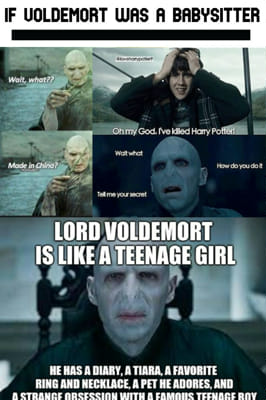 Harry Potter - memes (Discontinued) - #Meme 13: What is Voldemort after???  - Wattpad