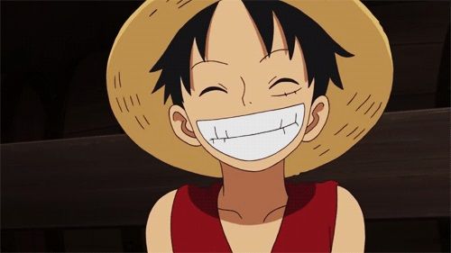 what straw hat member are you most like? (one piece quiz no brook)