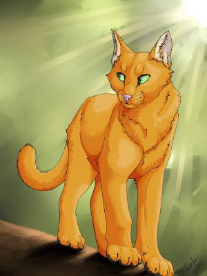 Bluestar vs Firestar - Analyzing Warrior Cats 