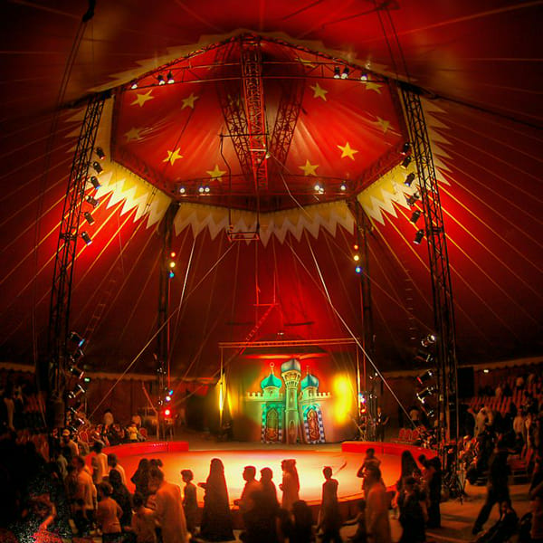 The Circus System | Quotev