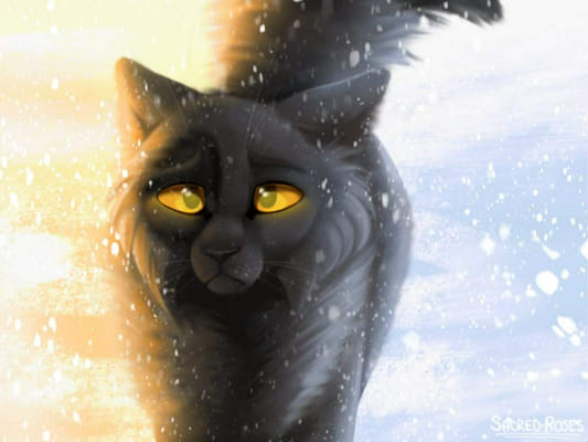 Which Warrior Cat Clan Are You In Quiz - ProProfs Quiz