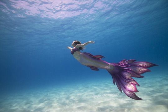 What type of mermaid are you? :) - Quiz | Quotev