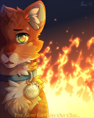 Warrior Cats - Firestar | Poster