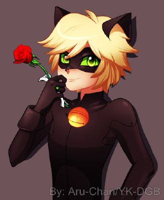 Miraculous ladybug x cat noir fanart