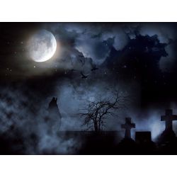 Published | shadow midnight | Quotev