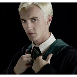 How does Draco Malfoy see you - Quiz | Quotev