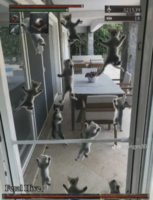 Whos Your Genshin Impact Girlfriend Quiz Quotev