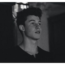 What Does Shawn Mendes Love About You? - Quiz | Quotev