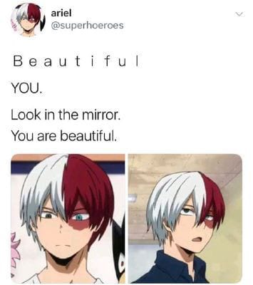 What does Todoroki Shoto think about you? - Quiz | Quotev