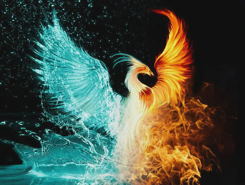 Phoenix | Quotev