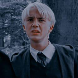 Does Draco like You? - Quiz | Quotev