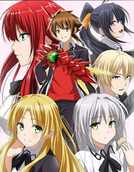 The Dragon and his Harem! (Male Reader X Highschool DXD!) - Riser