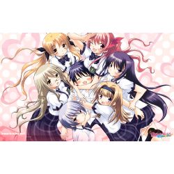 What Is Harem Anime? Everything you want to know - MyAnimeFacts