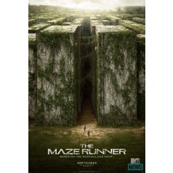 Maze Runner Cast Quizzes