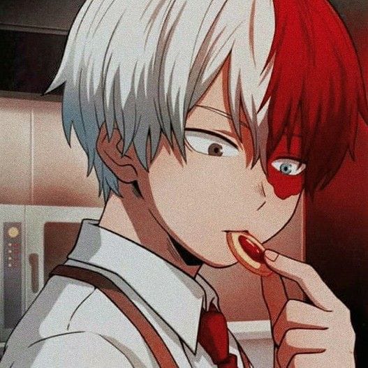 Does Todoroki have a crush on you? Quiz Quotev