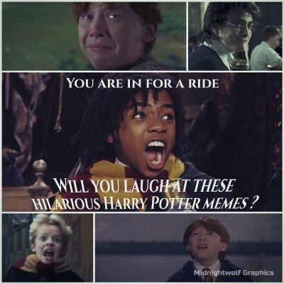 25 Hilarious Harry Potter Memes That Will Leave You Laughing