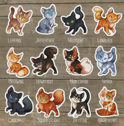 ElementalMagicCrafts on X: What is your Warrior cat name?? I am