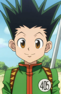 How much do you know HxH characters - Test | Quotev