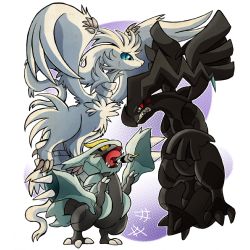 reshiram, zekrom, kyurem, black kyurem, and white kyurem (pokemon and 2  more) drawn by ana_ilda