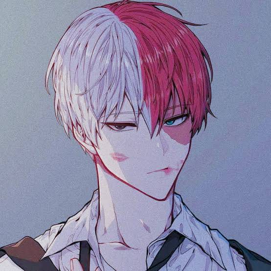 Illusion 2 [Shoto Todoroki X Reader] - Quiz | Quotev