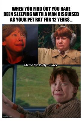 Best Ron and Hermione Harry Potter Memes