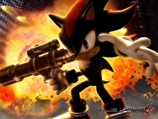 Shadow the Hedgehog x Reader AU? - Poll | Quotev