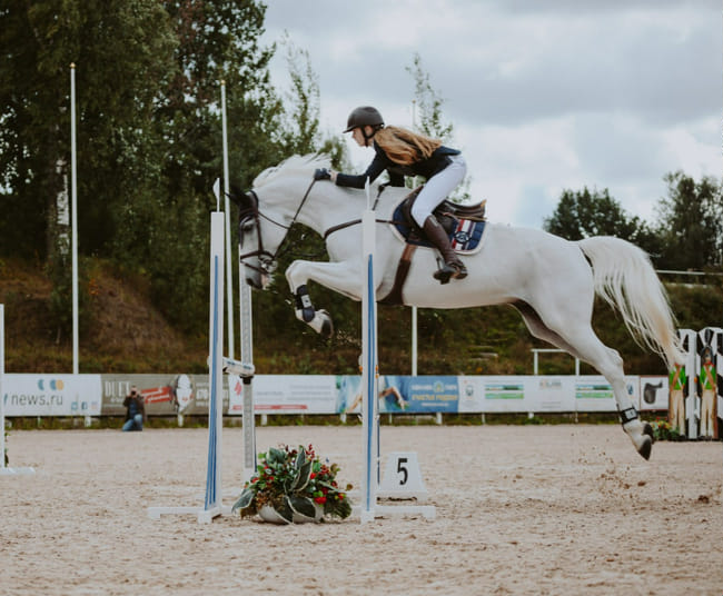 what horse riding discipline should you do? Quiz Quotev what horse riding discipline should you do? Quiz Quotev