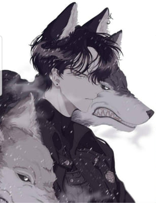 Featured image of post Anime Male Red Wolf