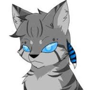 jayfeather plush