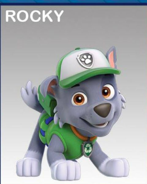 Rocky From Paw Patrol