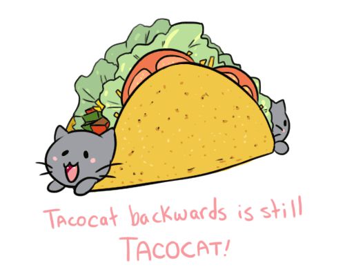 tacocat aphmau