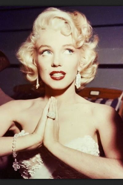 正在关注 | ashley rose