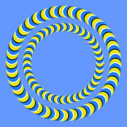 Optical illusions - Test