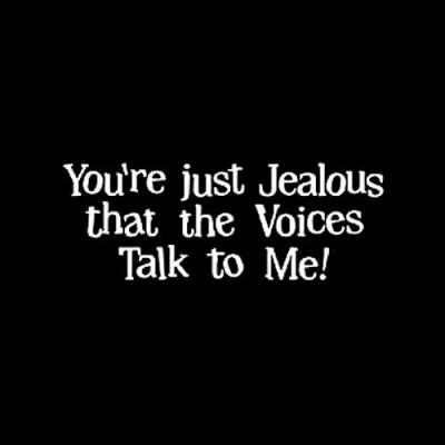 Voices Quotes