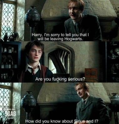 Dementors You Are A Jerk But I Love You Harry Potter Love Story