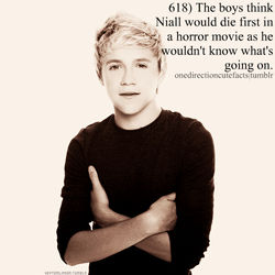 cute niall horan facts