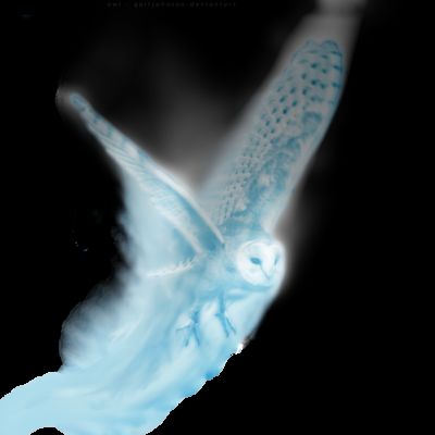 Owl | What's Your Patronus? - Quiz