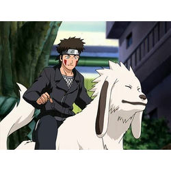 The white fang's daughter? - A Kiba Inuzuka love story