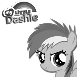 My Little Dashie Stories