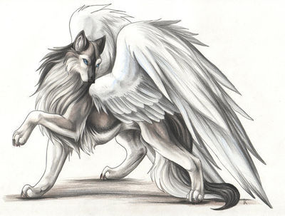 Featured image of post Anime Wolf With Wings Flying 1000 images about winged wolves on pinterest