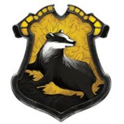 Hufflepuff House Quiz - Test