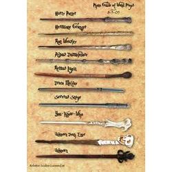 Whats Your Wand? *Harry Potter* - Quiz