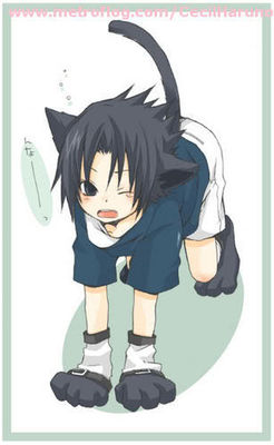 Ch 2 Team Seven Why Am I A Cat Sasuke Love Story Yen press has licensed the series in north america on 7 july 2016. ch 2 team seven why am i a cat