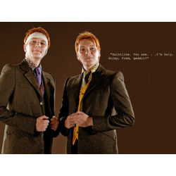 fred weasley deathly hallows