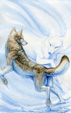 Create a Wolf Mate - Quiz