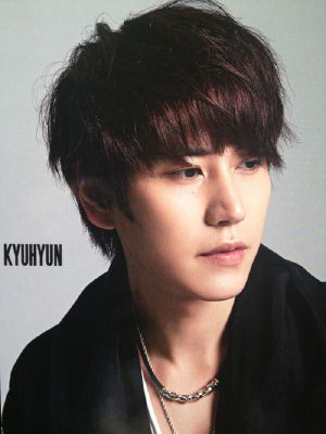 Birthday Surprise Kyuhyun One Shot