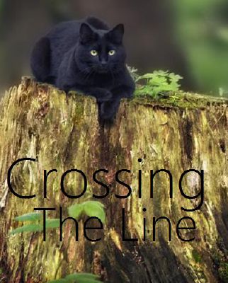 Four Crossing The Line A Warrior Cats Lovestory