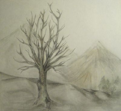 Landscape Drawings