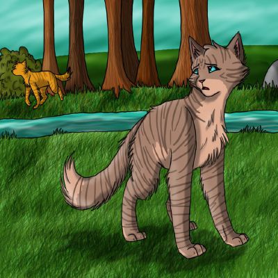 Blazeing X Honey Warrior Cats Love Storys